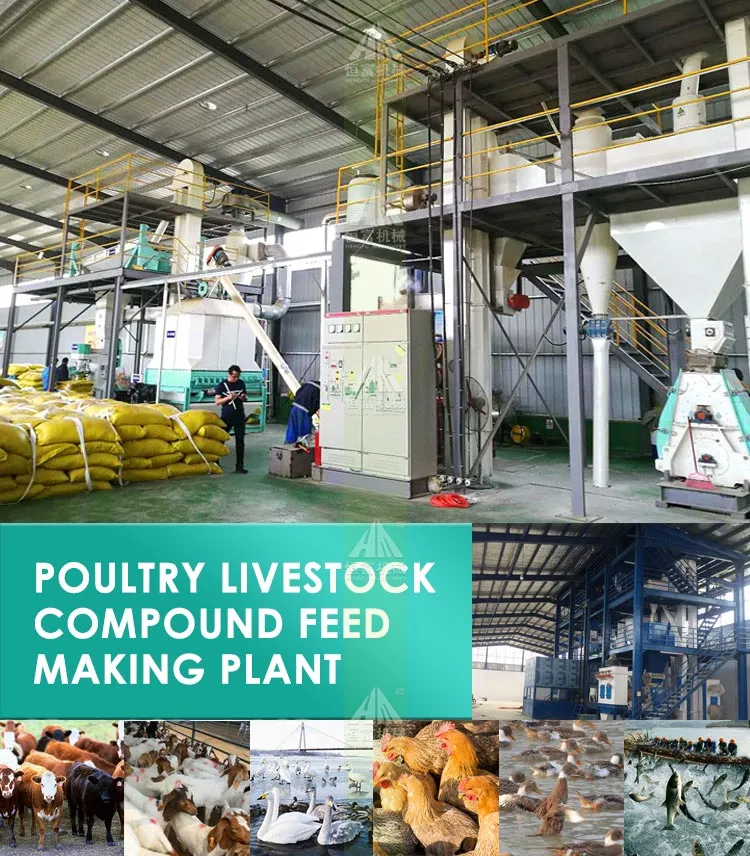 1-3tph Animal Feed Machine Production Line Including Grinding Machine, Pelletizer, Granulator, Mixer, Pellet Mill etc for Large Animal, Chicken, Poultry Feed