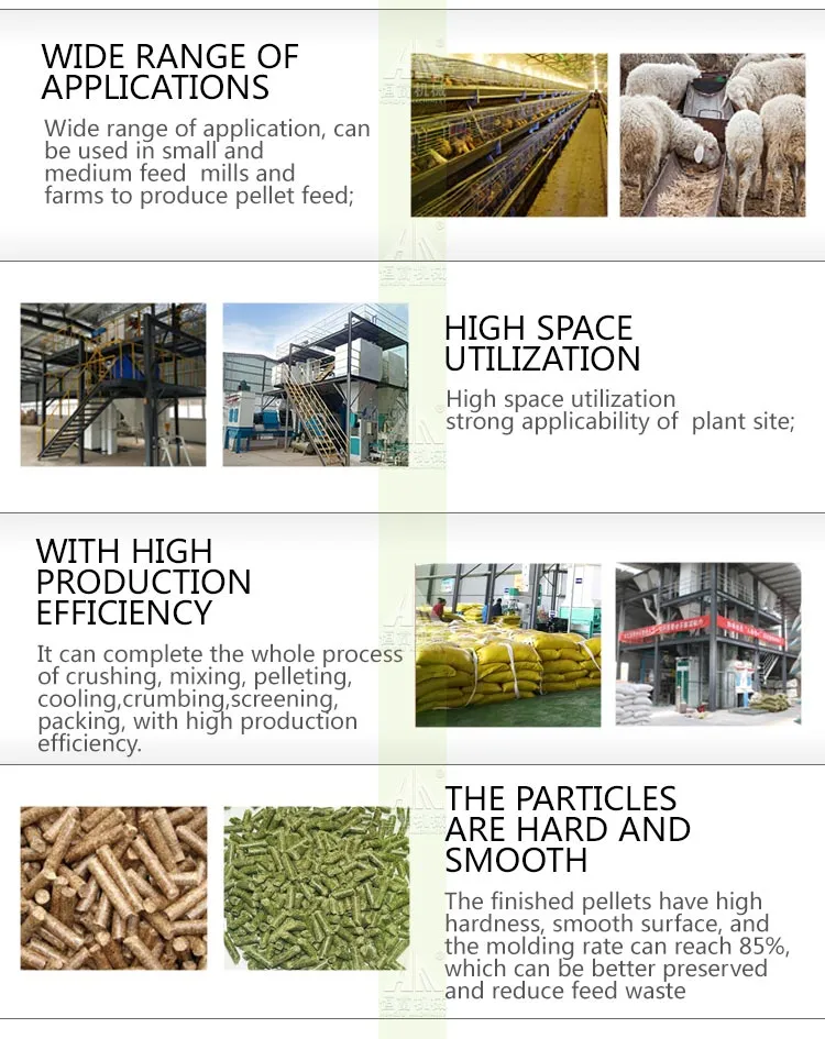 1-3tph Animal Feed Machine Production Line Including Grinding Machine, Pelletizer, Granulator, Mixer, Pellet Mill etc for Large Animal, Chicken, Poultry Feed
