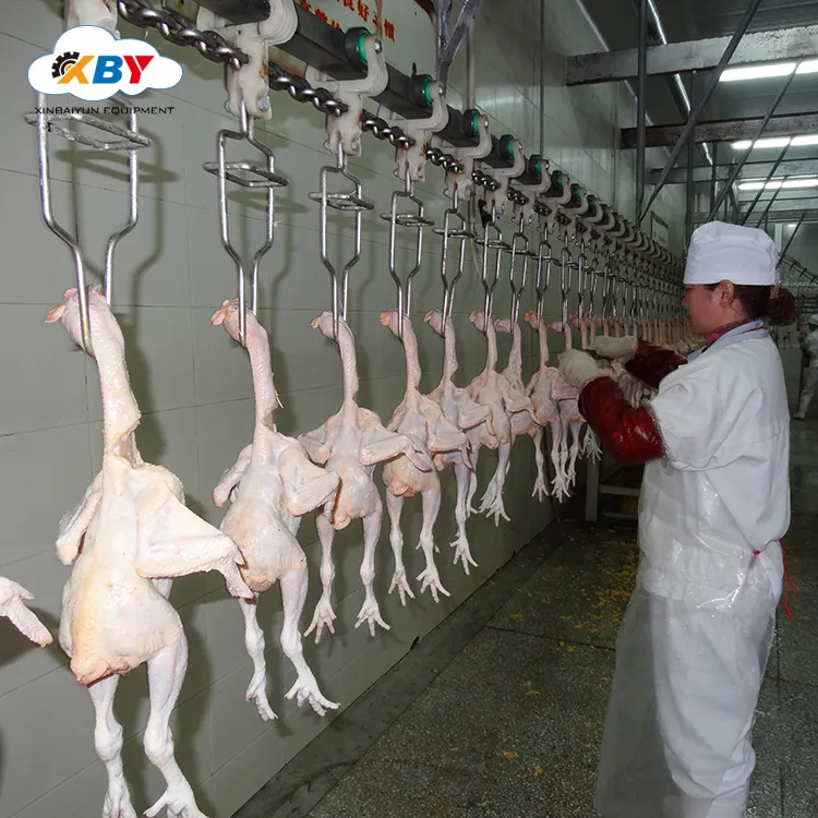 100-300bph Chicken Slaughter Machine / Small Poultry Slaughterhouse