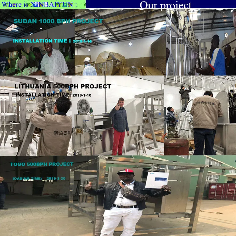 100-300bph Chicken Slaughter Machine / Small Poultry Slaughterhouse