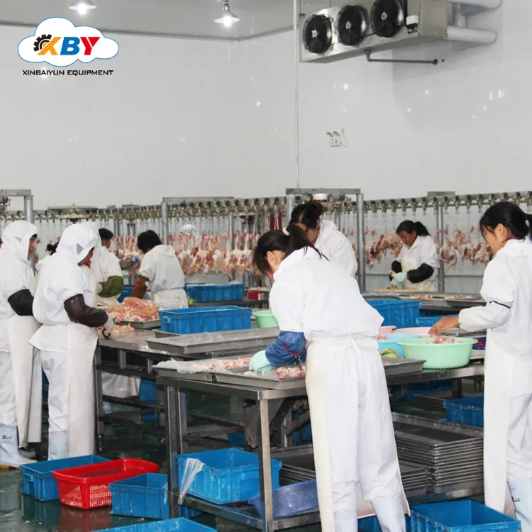 100-300bph Small Chicken Slaughterhouse Equipment /Poultry Slaughtering Machine for Sale