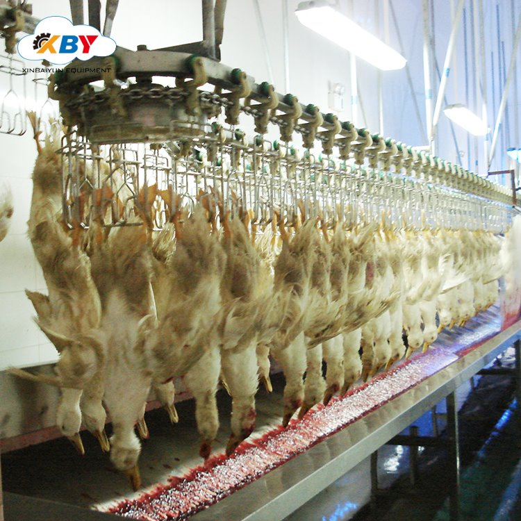100- 300bph Small Chicken Slaughterhouse Equipment /Poultry Slaughtering Machine for Sale
