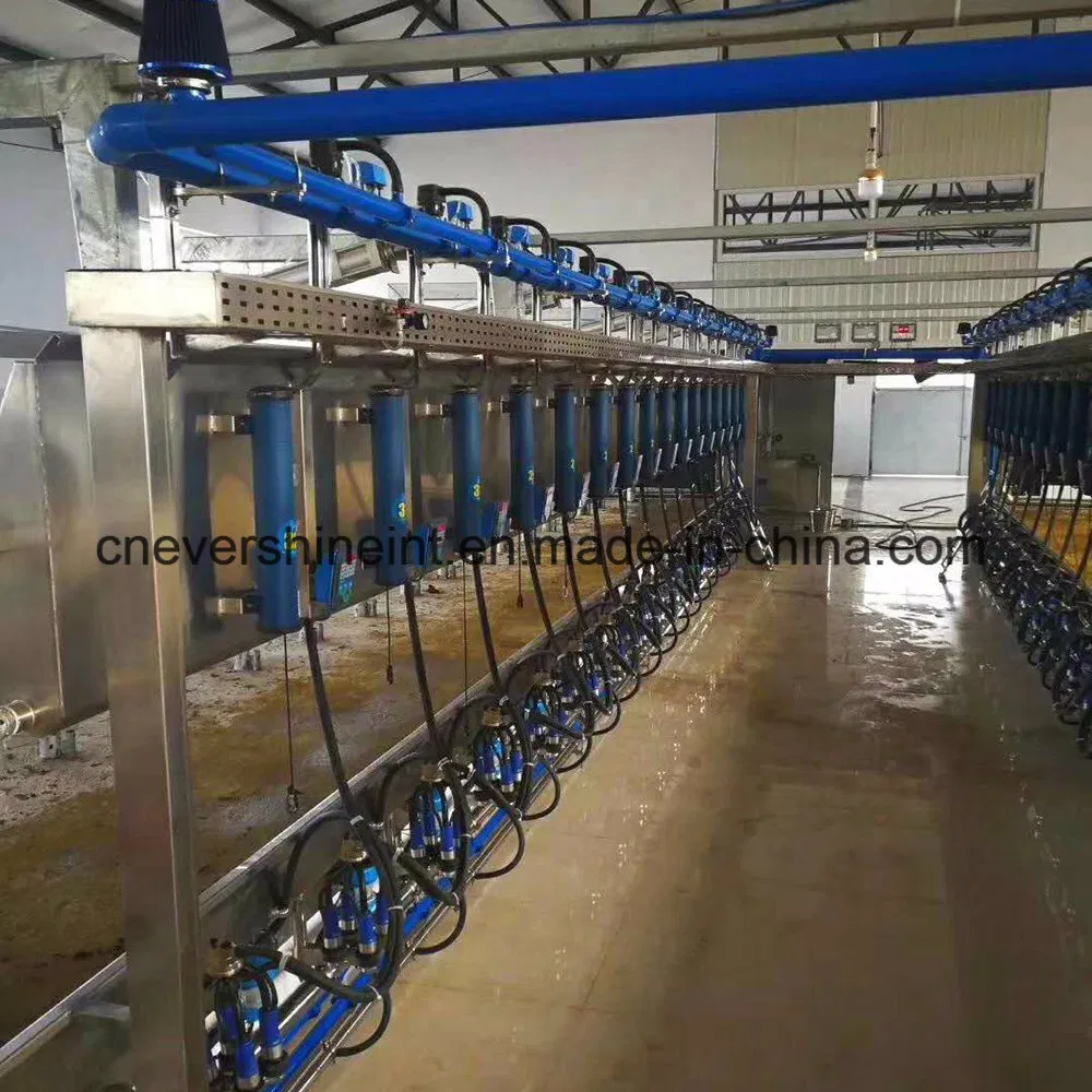2*16 Cow Auto Milking Parlour System Machine 32 Seats for Medium Farm