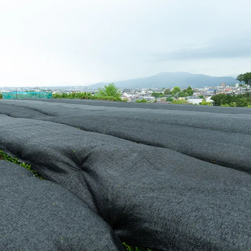 How Does Agricultural Shade Netting Improve Crop Growth?