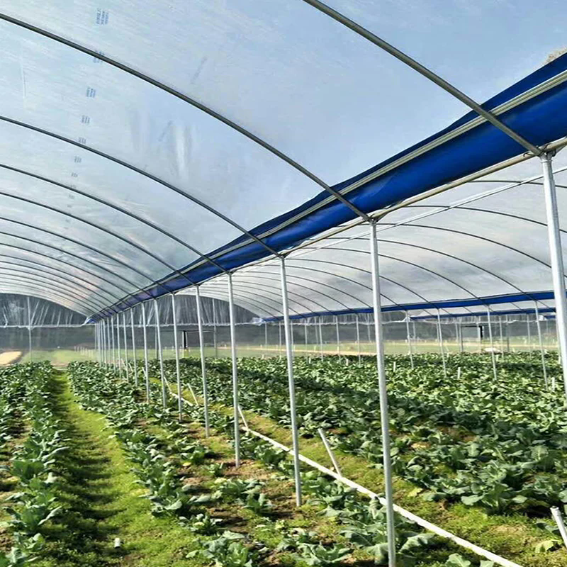 Why Are Greenhouse Drainage Tarps Becoming the Preferred Solution for Modern Agricultural Water Control?