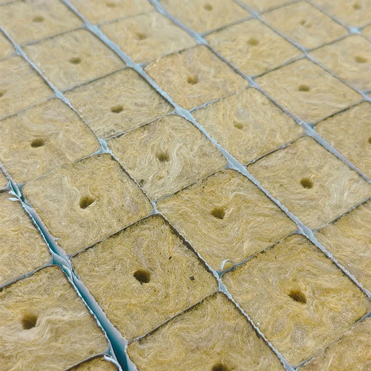 How Does Rockwool Seedling Cultivation Improve Germination and Seedling Quality?