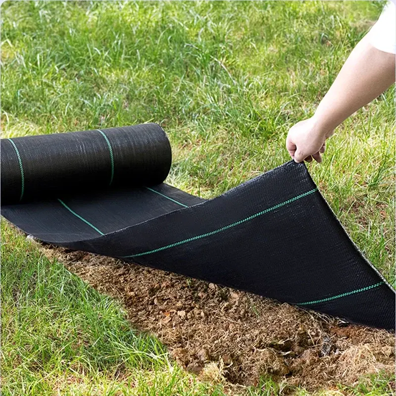 Why Choose a Weed Control Mat?