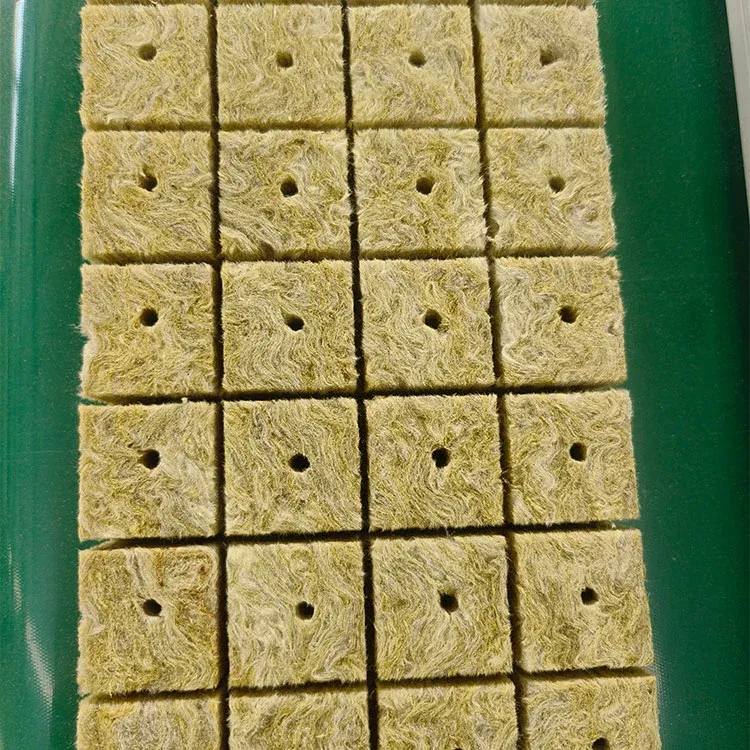 How Do Rockwool Cubes Affect Root Aeration and Plant Growth Speed