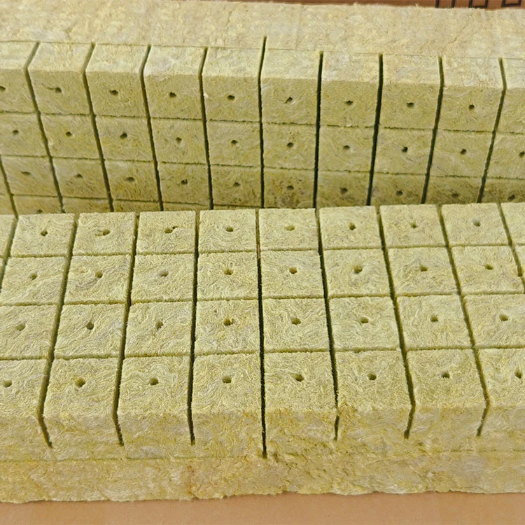 How Often to Water Seedlings During Plant Rockwool Seedling Cultivation in Dry Climates