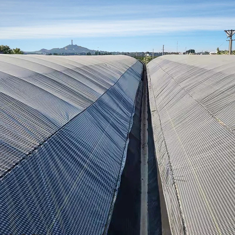 What Makes Black White Grid Greenhouse Plastic Cover an Ideal Choice for Modern Agriculture?