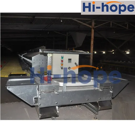 24 Holes Breeder Farm Layer Egg Collecting Nest with Automatic System