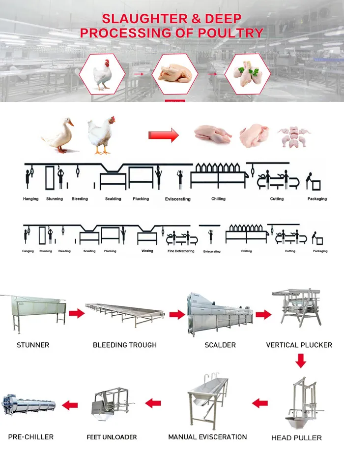 300bph to 10000bph Halal Poultry Automatic Chicken Slaughtering Machine