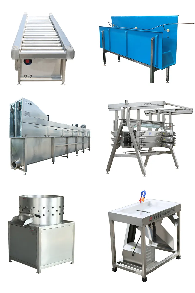 300bph to 10000bph Halal Poultry Automatic Chicken Slaughtering Machine