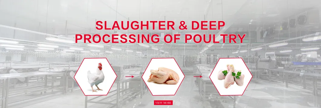 300bph to 10000bph Halal Poultry Automatic Chicken Slaughtering Machine