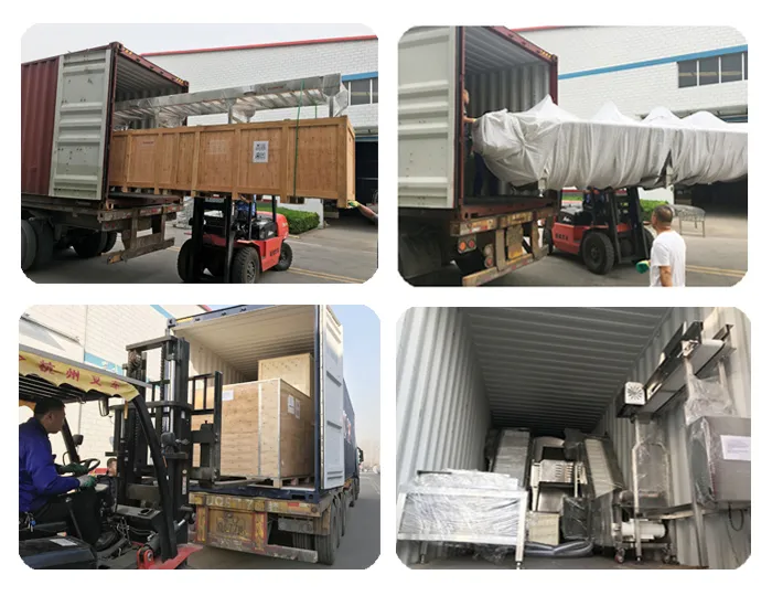 300bph to 10000bph Halal Poultry Automatic Chicken Slaughtering Machine