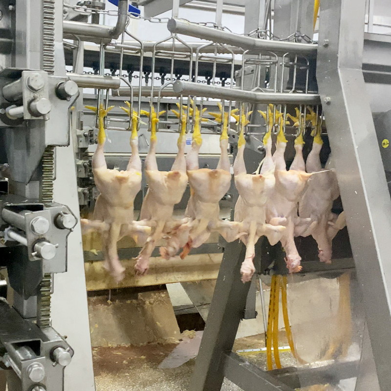 300bph to 10000bph Halal Poultry Automatic Chicken Slaughtering Machine