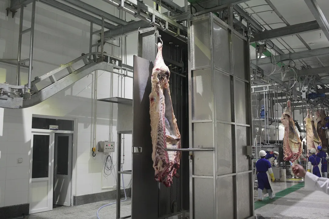 3kw New Cost-Effective Cattle/Cow Abattoir Frozen/Fresh Meat Processing Machine