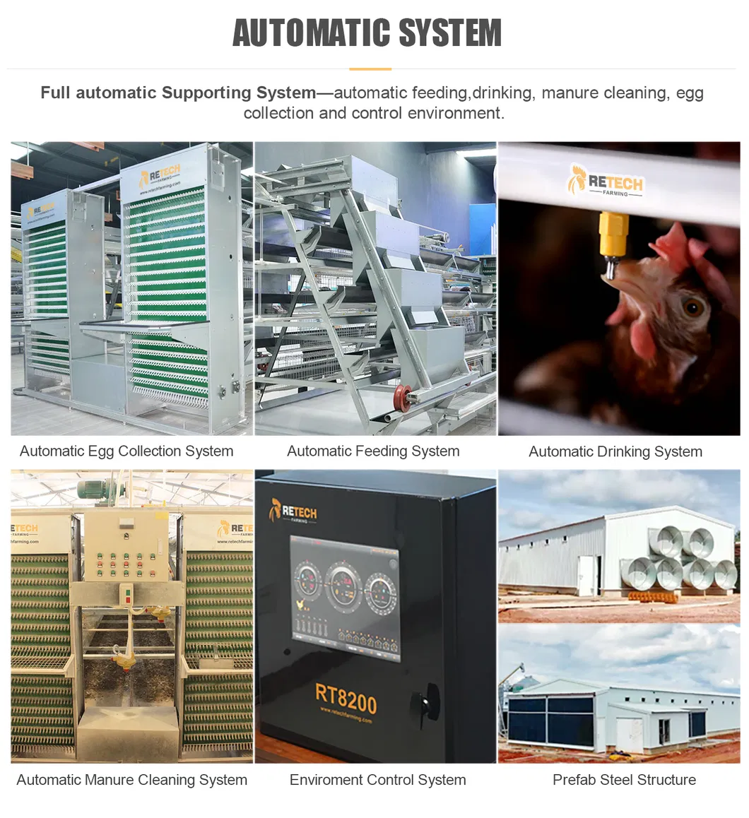 A Type Automatic Battery Chicken layer Cage and chicken broiler cage