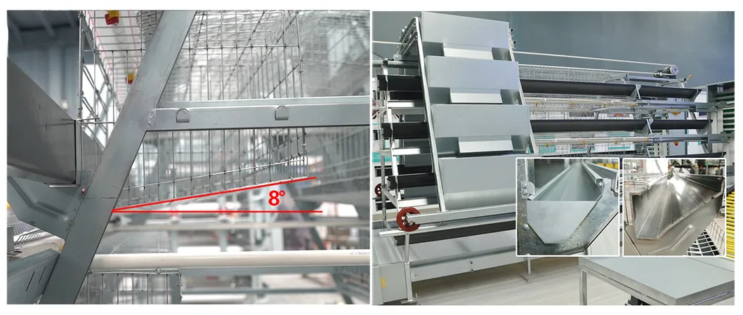 A Type Automatic Battery Chicken layer Cage and chicken broiler cage