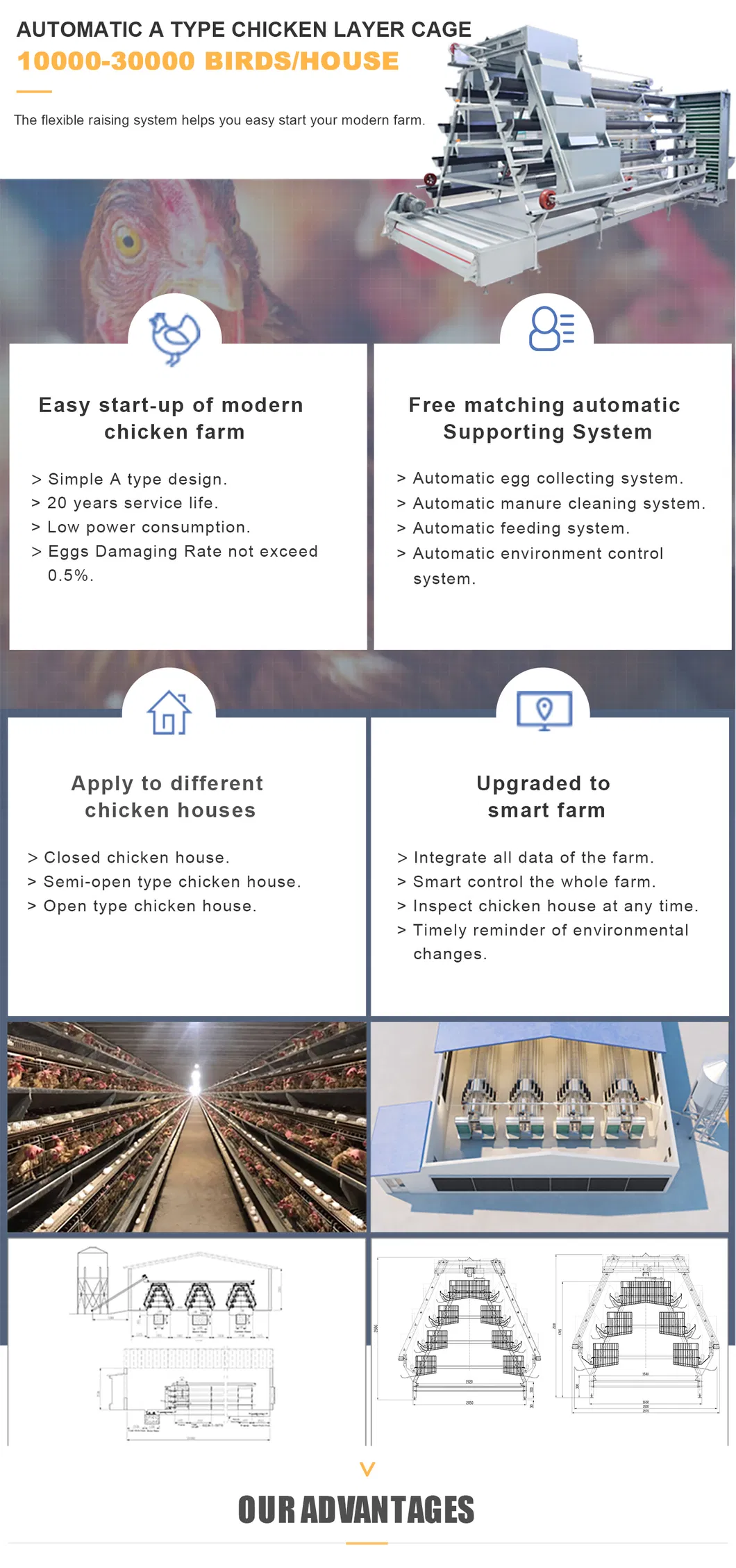 A Type Automatic layer Poultry Farm Cage Design For Sale