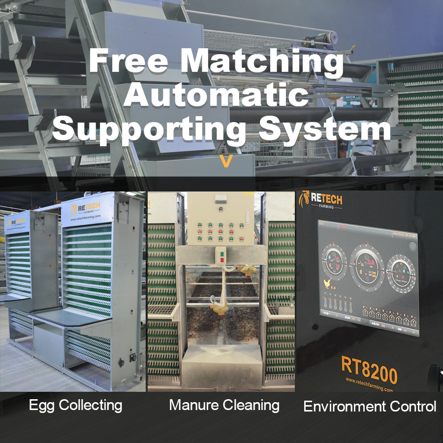 A Type Automatic layer Poultry Farm Cage Design For Sale