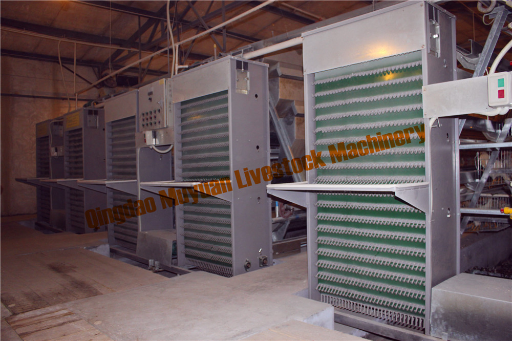 a Type Three-Tier Layer Cage Open House Cage Multi Tier a Poultry Cage Hen Cage Equipment