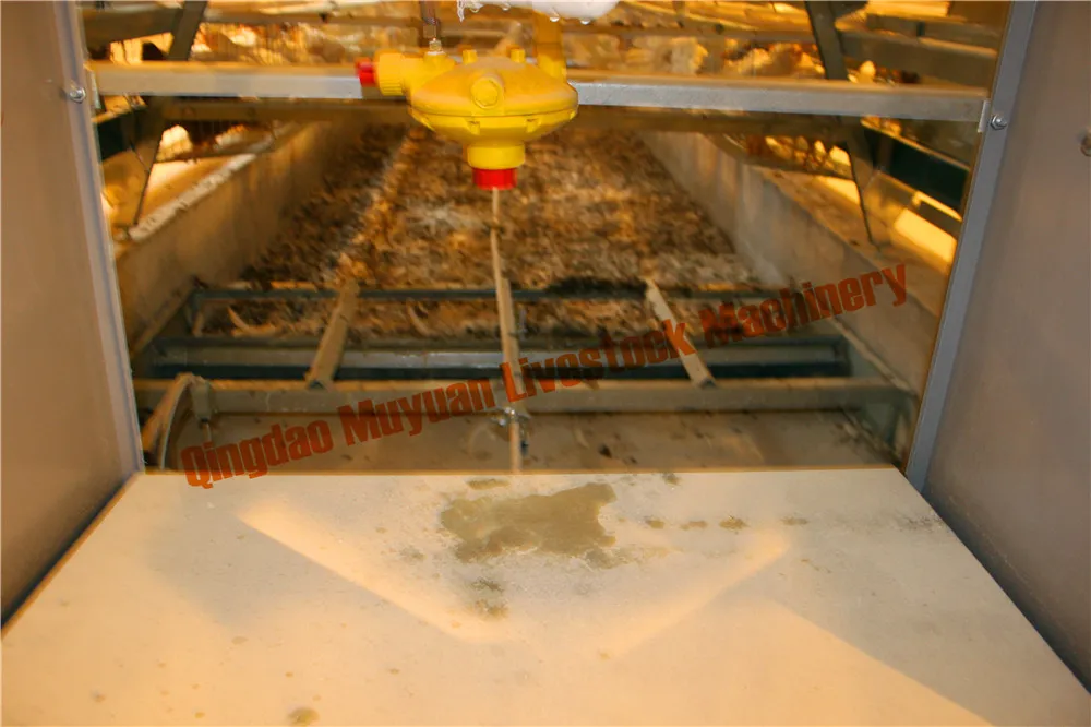 a Type Three-Tier Layer Cage Open House Cage Multi Tier a Poultry Cage Hen Cage Equipment