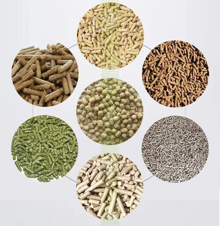 Advanced Small Poultry Feed Mill/Poultry Feed Pellet Machine/1-2tph Pellet Production Line