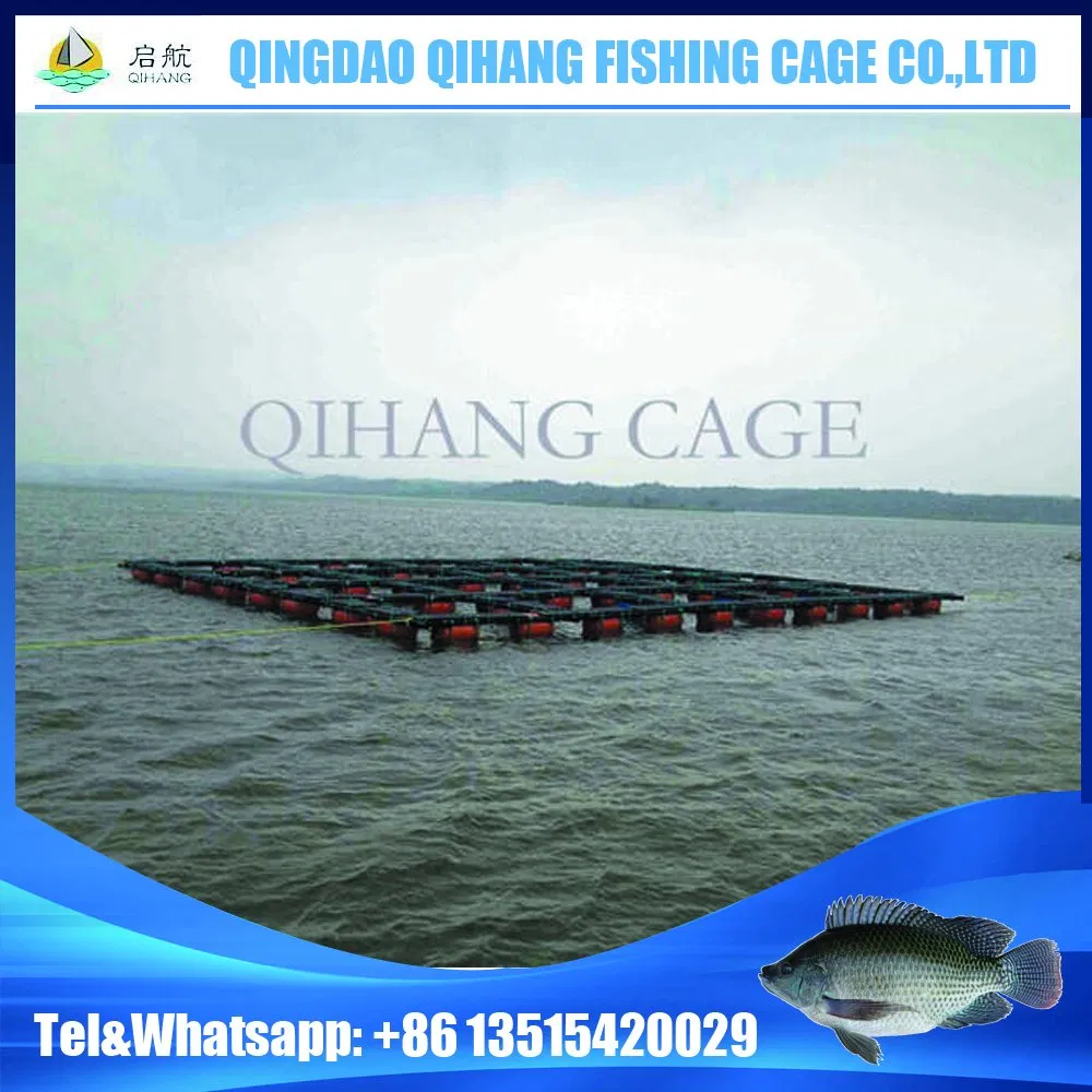 Aquaculture Square Cage Fish Trap for Fish Farming