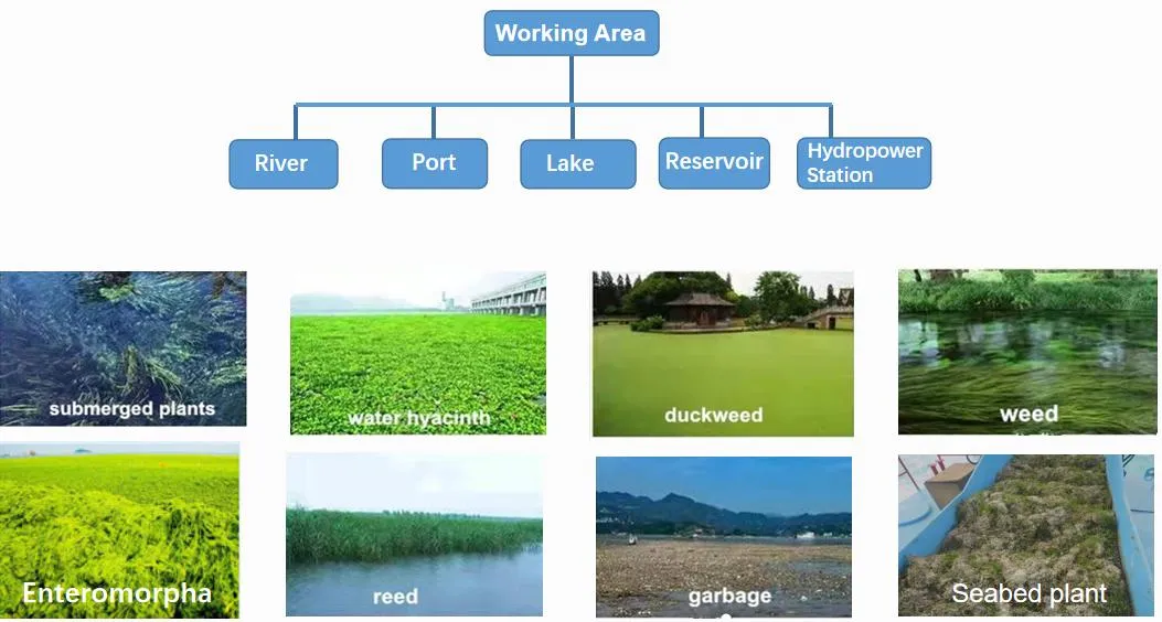 Aquatic Weed Removal Vessel Used in Lake Cleaning