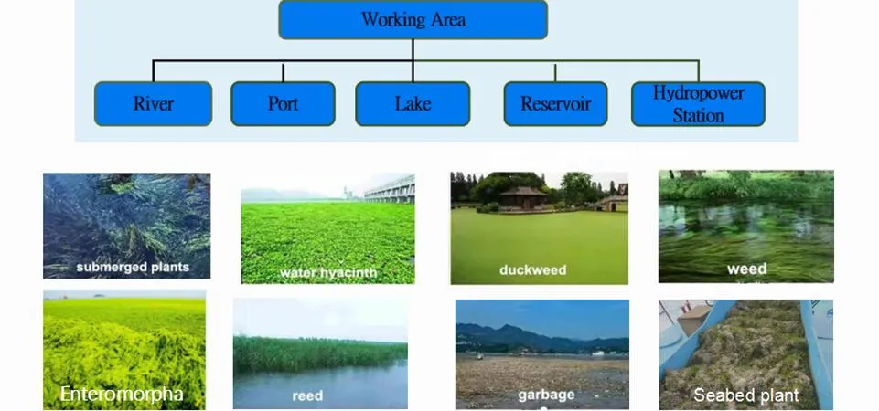Aquatic Weed Trash Collection Equipment for Waterways