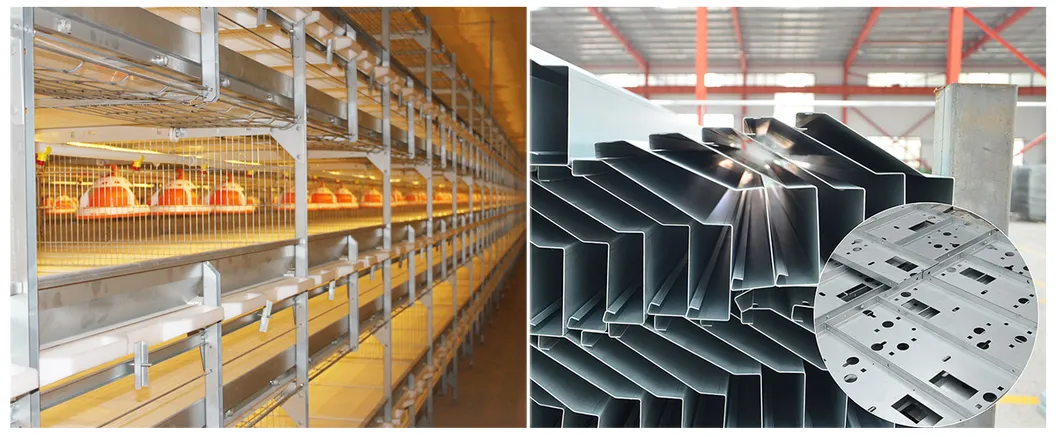 Automatic Broiler Poultry Equipment Chicken Cages Supplier