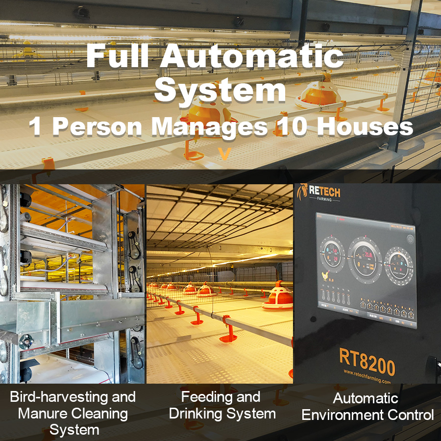 Automatic Broiler Poultry Equipment Chicken Cages Supplier