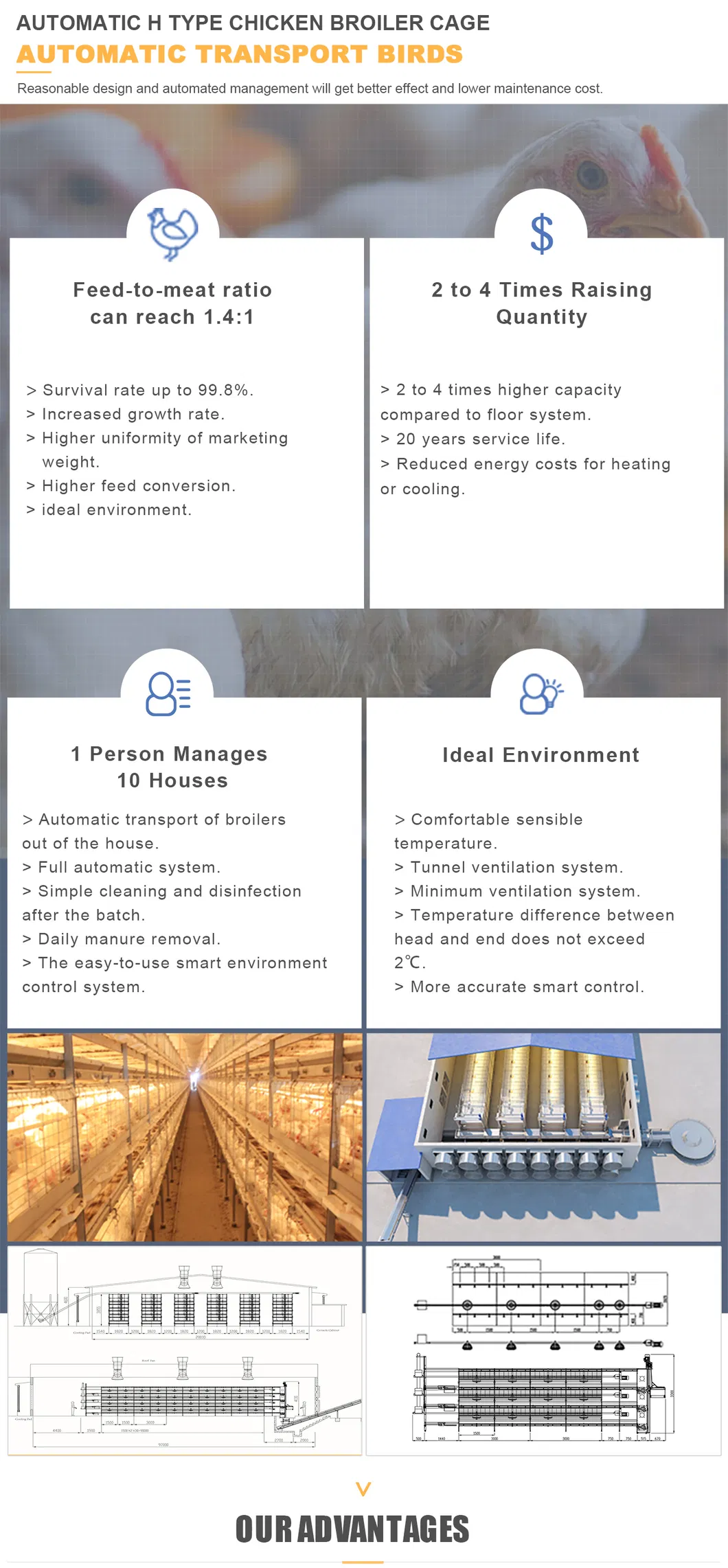 Automatic Broiler Poultry Equipment Chicken Cages Supplier