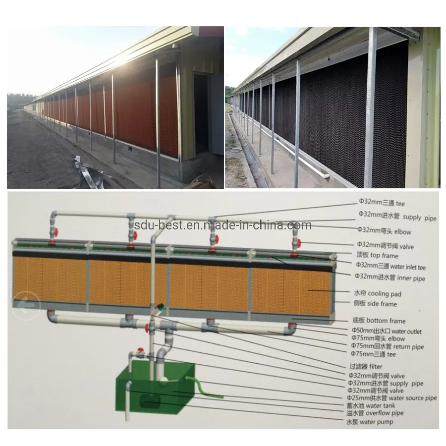 Automatic Chicken Farm Equipment for Feeding and Drinking Poultry Broiler