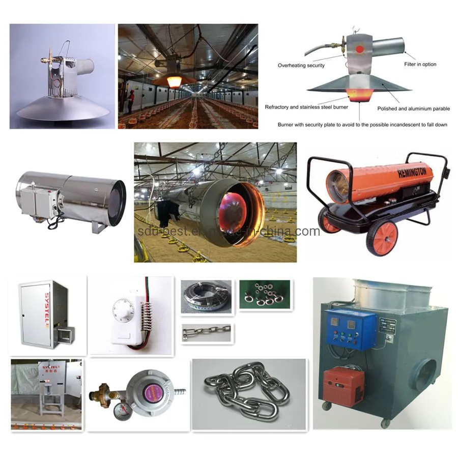 Automatic Chicken Farm Equipment for Feeding and Drinking Poultry Broiler