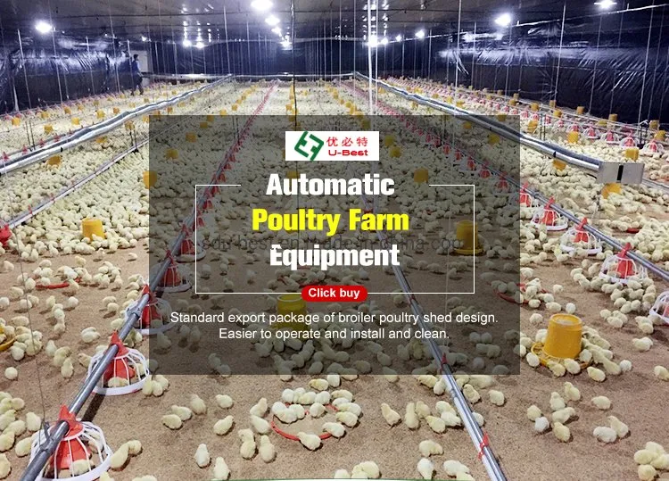 Automatic Chicken Farm Equipment for Feeding and Drinking Poultry Broiler