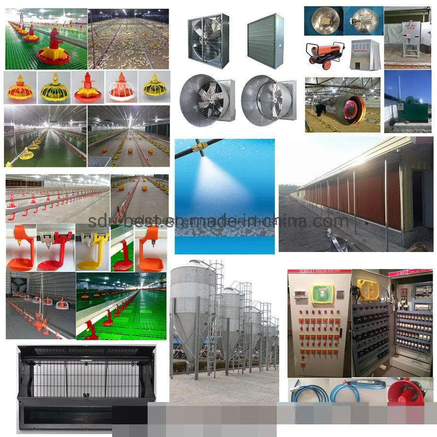 Automatic Chicken Farm Equipment for Feeding and Drinking Poultry Broiler