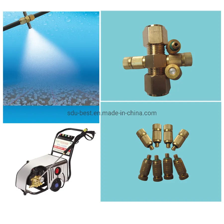 Automatic Chicken Farm Equipment for Feeding and Drinking Poultry Broiler