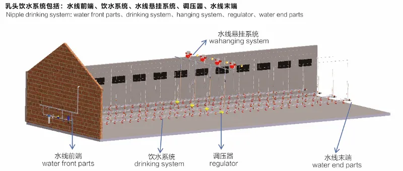 Automatic Chicken Feeder Drinkers for Chicken House Poultry Farm Livestock