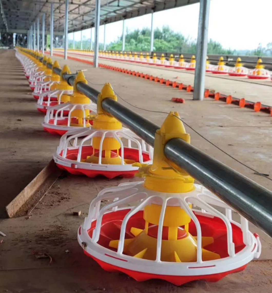 Automatic Chicken Feeder Drinkers for Chicken House Poultry Farm Livestock