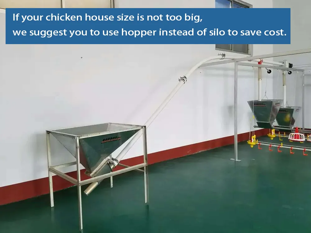 Automatic Chicken Feeder Drinkers for Chicken House Poultry Farm Livestock