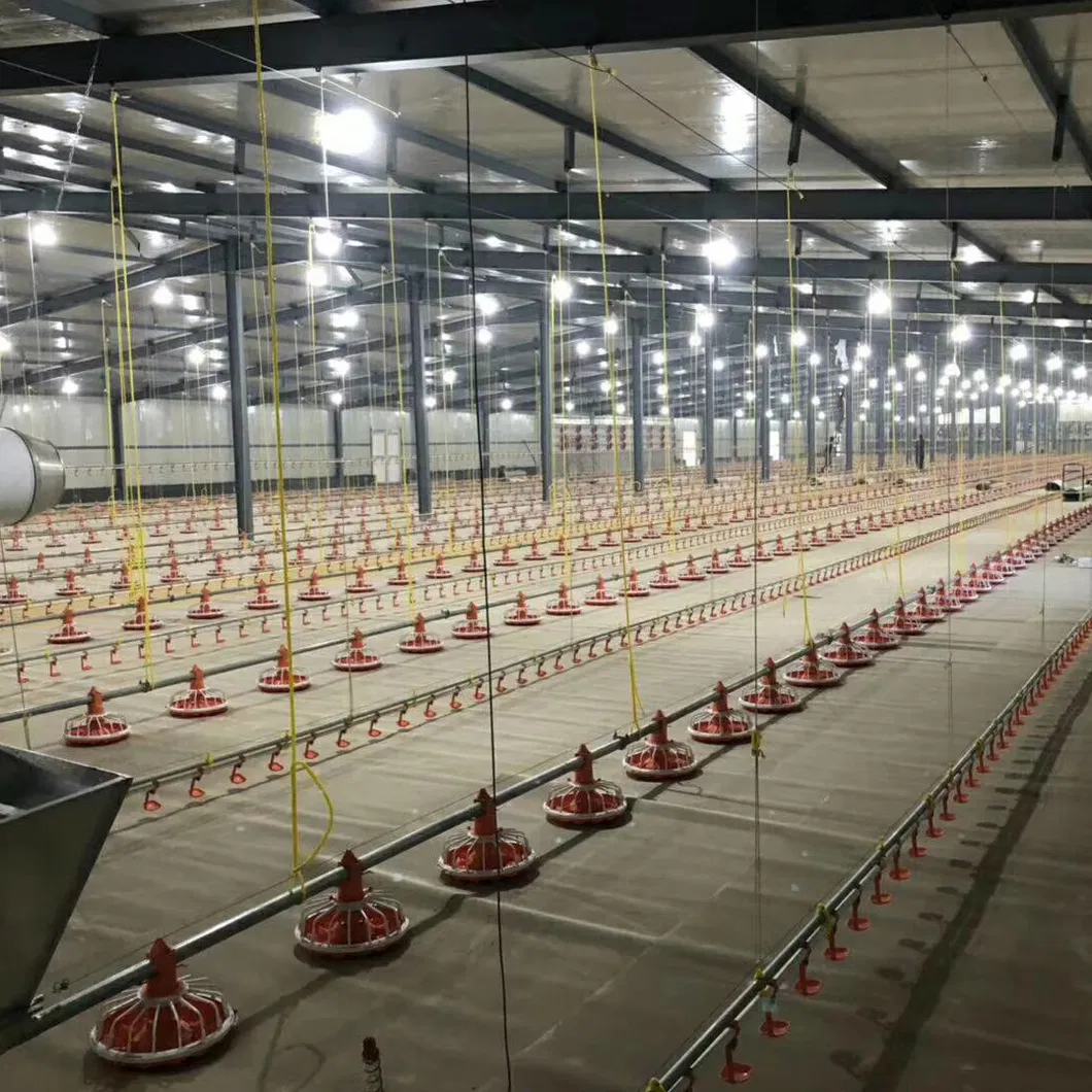 Automatic Chicken Feeder Drinkers for Chicken House Poultry Farm Livestock