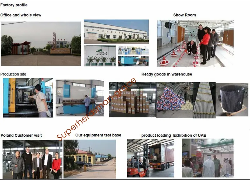 Automatic Chicken Feeders for Broiler Production