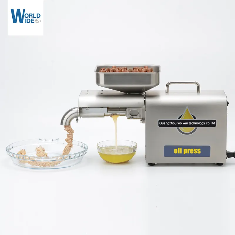 Automatic Moringa Seed Oil Extraction Machine Mini Oil Press for Sale