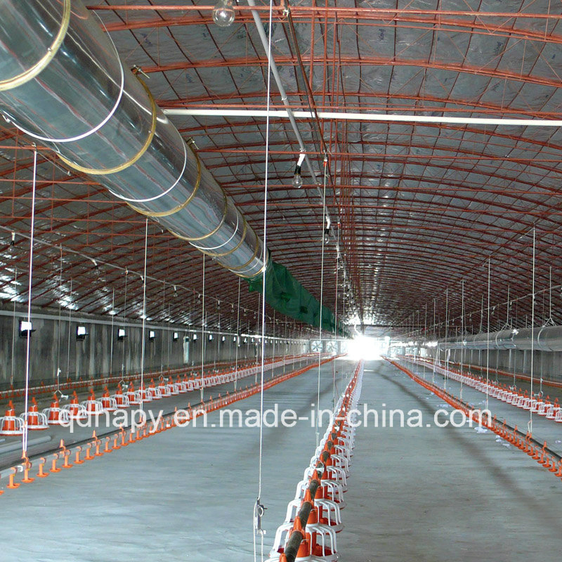 Automatic Poultry Feeding Equipment for Chicken Production