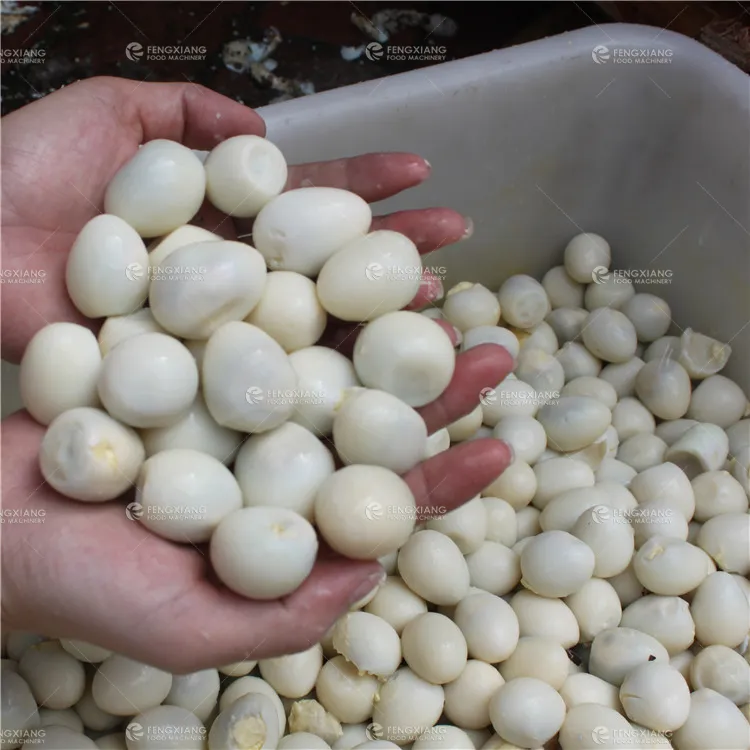 Automatic Quail Eggs Peeling Machine