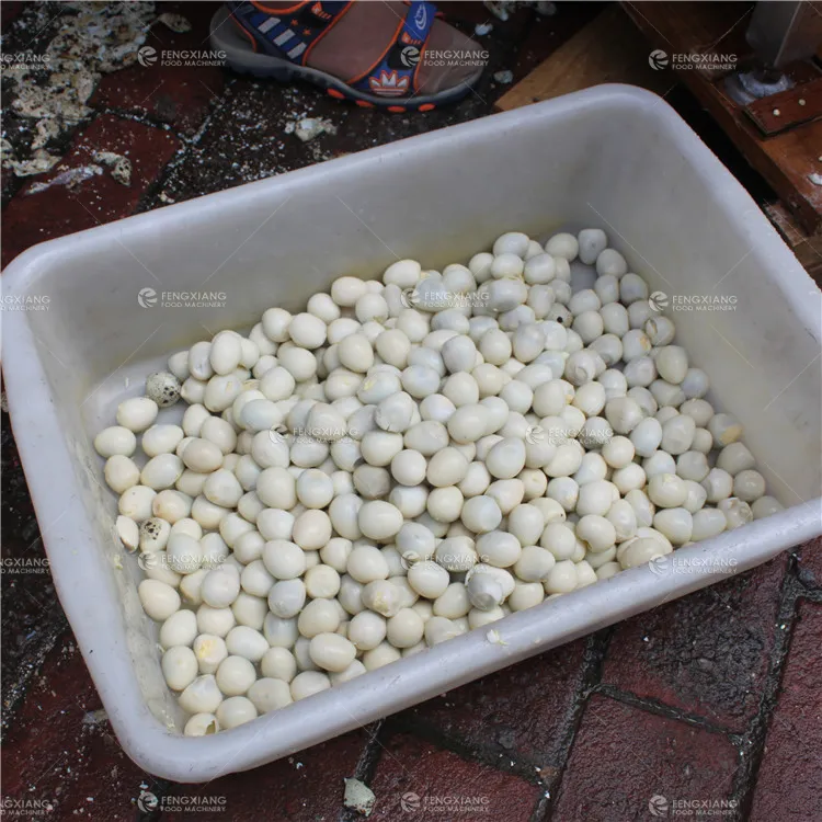Automatic Quail Eggs Peeling Machine