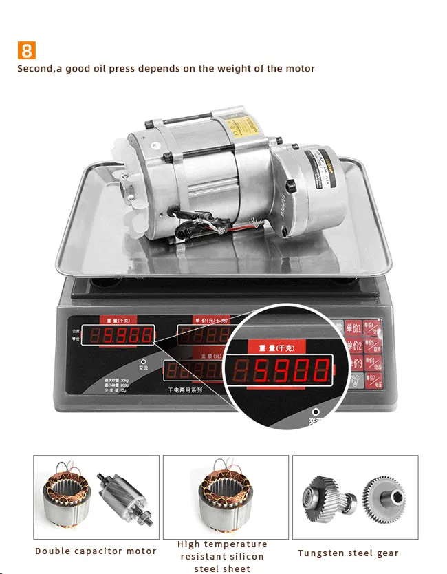 Bangladesh Automatic Home Olive Combined Peanut Soybean Peanut Sunflower Oil Press Machine