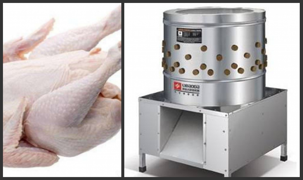 Best Price Chicken Goose Duck Depilator